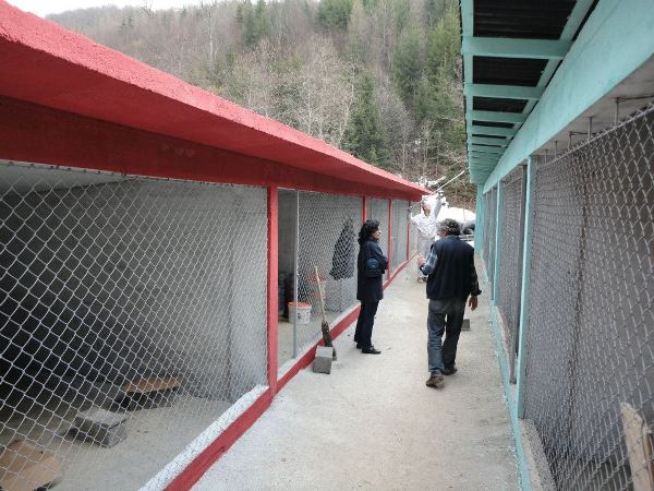 Prihvatilište za napuštene i izgubljene životinje Kantona Sarajevo