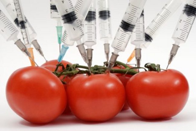 GMO voće i povrće
