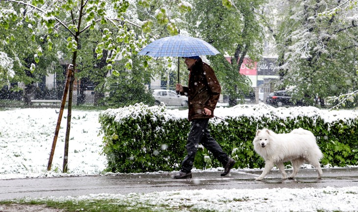 Snijeg u Sarajevu, april 2014/ Foto: AA