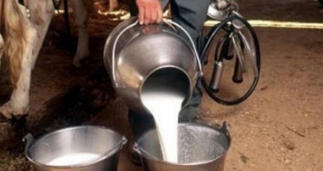 Bh. farmeri traže pomoć vlasti: Ako se uvoz mlijeka poveća, ugasit će se domaće firme!