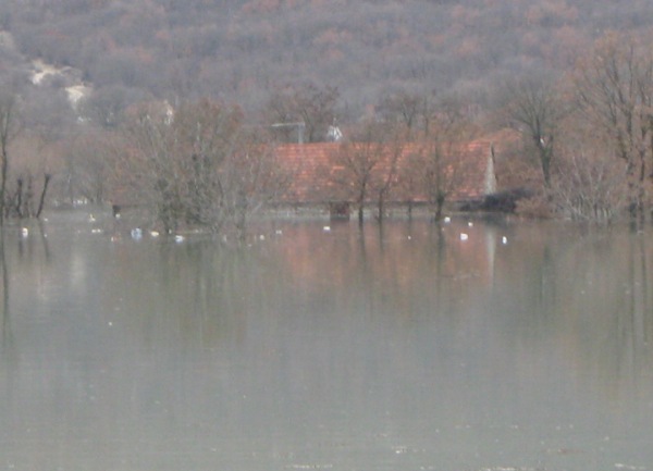 Bileća3