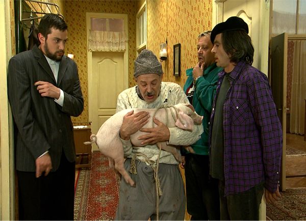 Lud Zbunjen Normalan i krme Lud Zbunjen Normalan i krme