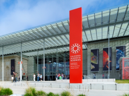renzo piano akademija renzo piano akademija