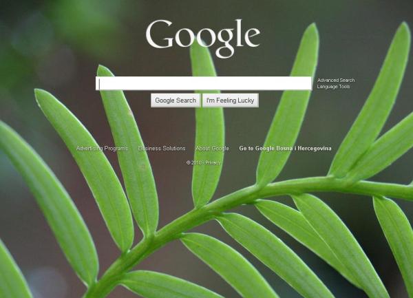 google pozadina google pozadina