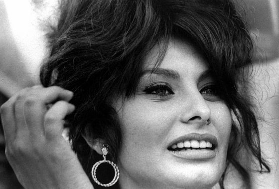 sophia loren sophia loren