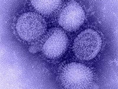 hiv100