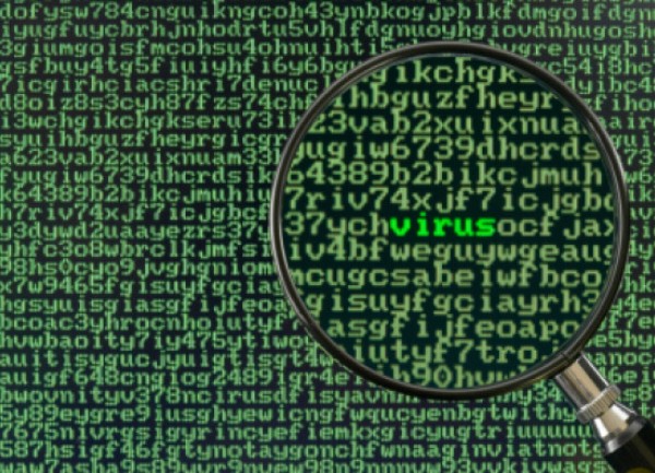 virus