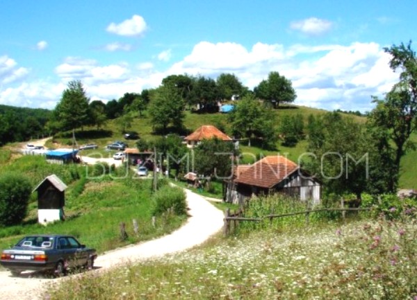 BUŽIM-UBISTVO