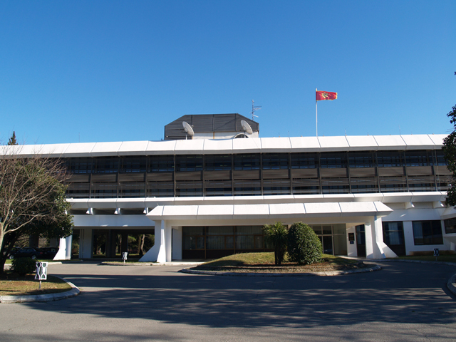 vlada-cg