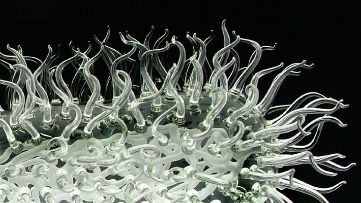 E. coli E. coli