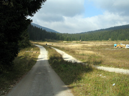 Igman