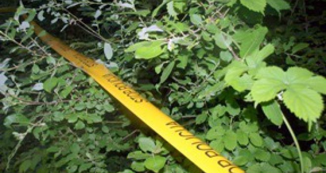 Stablo usmrtilo drvosječu kod Han Pijeska