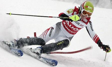 marlies schild