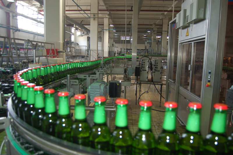 pivo100