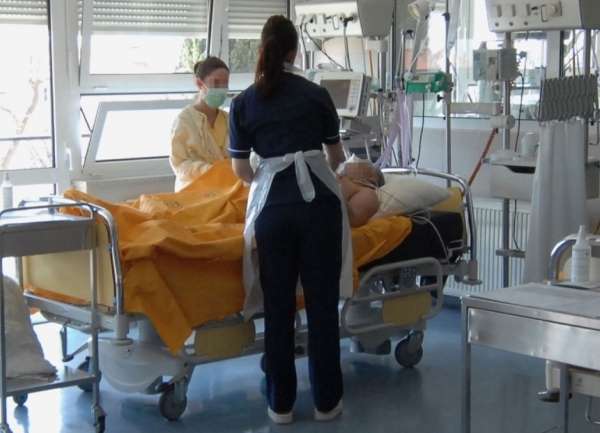 H1N1 (Ilustracija)