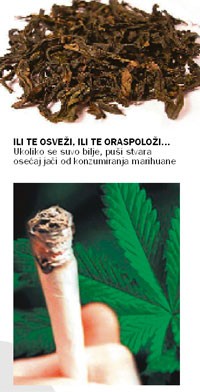 opijati