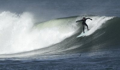 Tsunami stigao na obale Kalifornije Tsunami stigao na obale Kalifornije