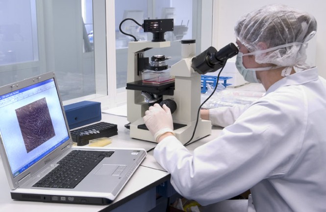 Laboratorijska analiza-matične ćelije Laboratorijska analiza-matične ćelije