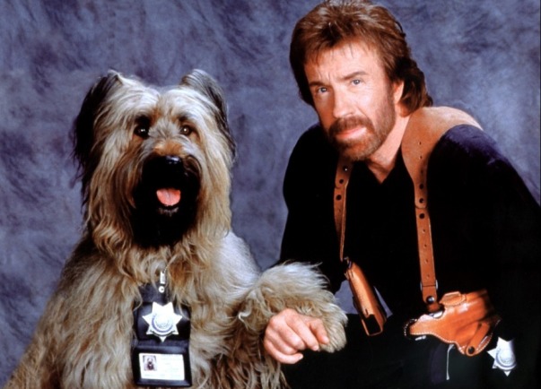 chuck norris chuck norris