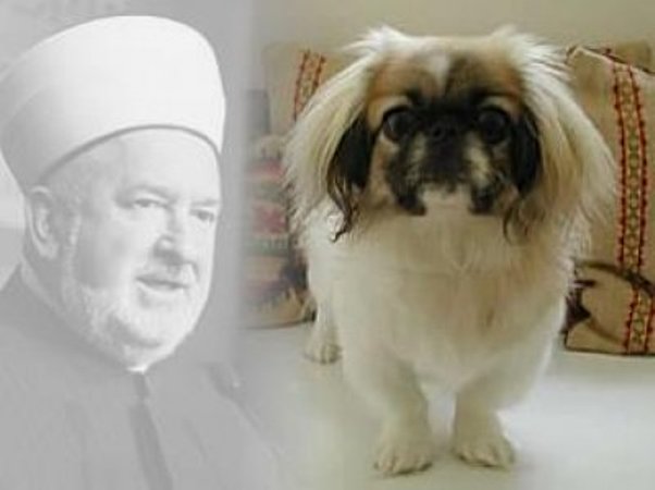 Mustafa Cerić i voljeni pas Dudu Mustafa Cerić i voljeni pas Dudu