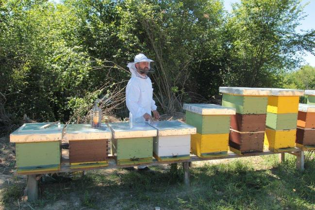 Otvoren staklenik za organsku proizvodnju Otvoren staklenik za organsku proizvodnju