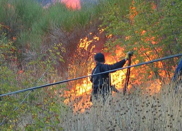Krf požar Krf požar