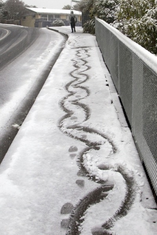 Prvi snijeg u 50 godina napravio je haos. Zatvorene su brojne ceste, &scaron;kole i aerodromi. Neka mjesta ostala su bez struje. Val hladnoće mogao bi potrajati