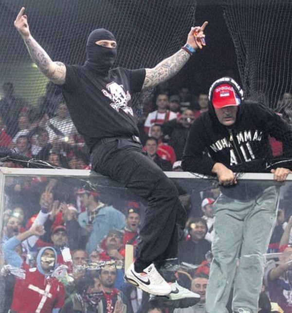 huligan partizan