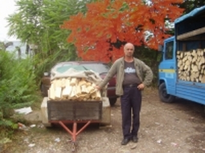 metar drva