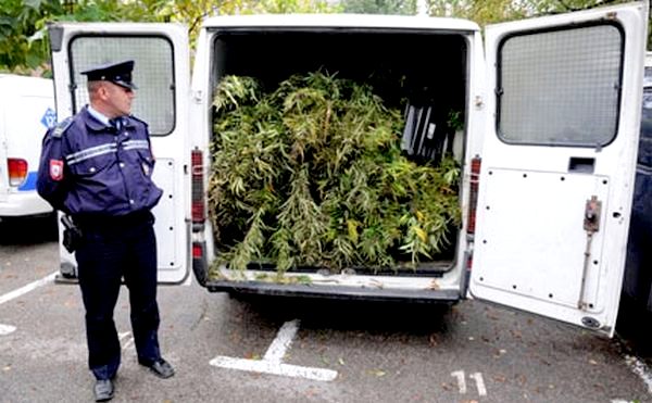 marihuana-banjaluka marihuana-banjaluka