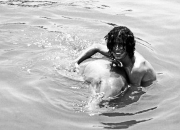 delfin1 delfin1