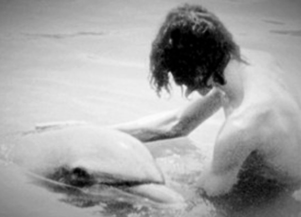 delfin2 delfin2