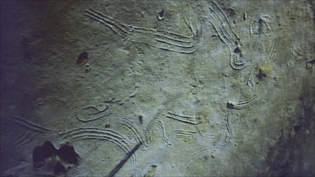 pećinski-crteži pećinski-crteži