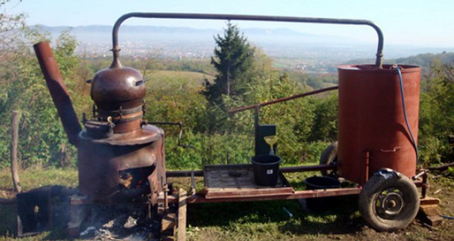 Stiže upitnik EU: Koliko rakije ćemo moći ispeći, koje sijalice koristiti, kakve banane se smiju...