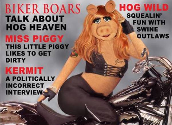 miss pigy miss pigy