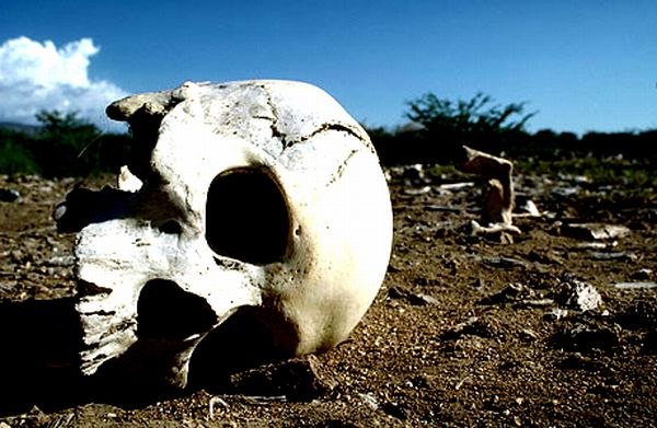 Policija je nakon prijave porodica koje su primijetile da su grobovi oskrnavljeni kontrolirala osobe u tom području, a kod V.D. je pronađena plastična kesa s dijelovima skeleta; ilustracija: CORBIS