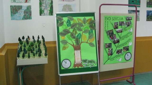 eko skola prezentacija eko skola prezentacija