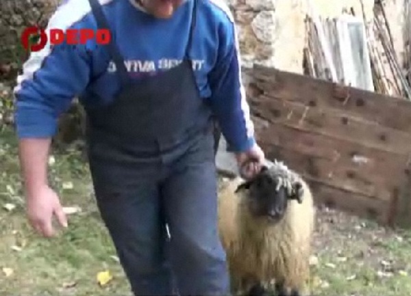 bajram familija kasalo bajram familija kasalo
