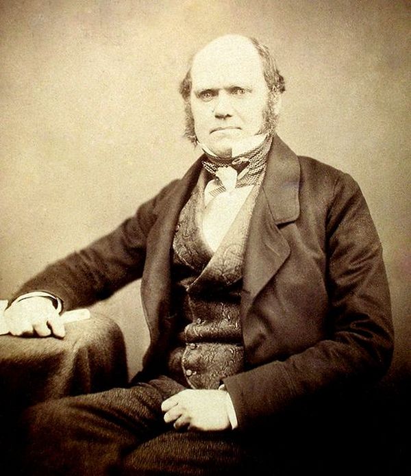 darwin darwin