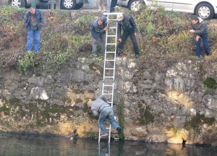 Spašavanje šteneta iz Miljacke Spašavanje šteneta iz Miljacke