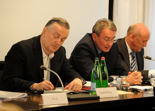 lagumdzija bosic