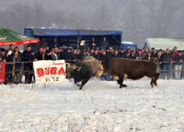 bijela korida bijela korida