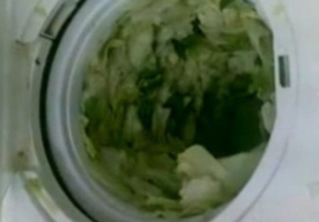 SALATA U MAŠINI ZA VEŠ SALATA U MAŠINI ZA VEŠ