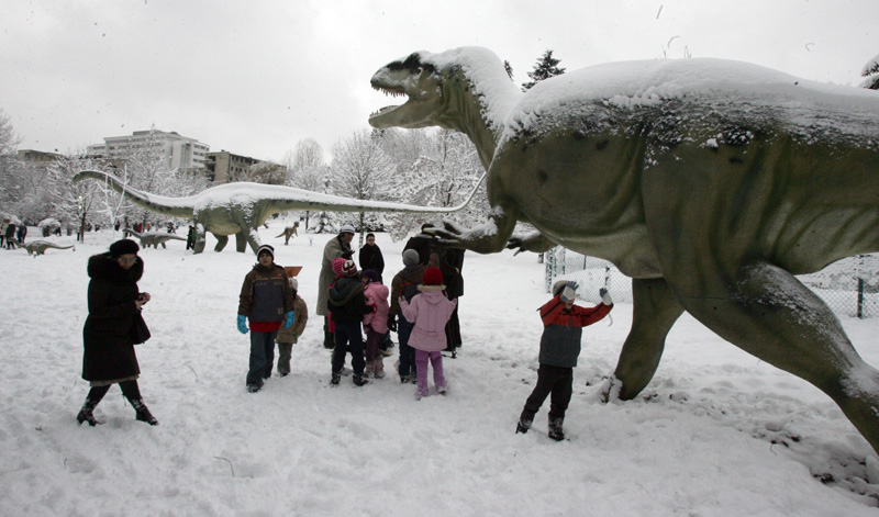 ''Svijet dinosaurusa' predstavlja postavku eksponata dinosaurusa u prirodnoj veličini koji su rekonstruisani pod strogim nadzorom Njemačkog paleontolo&scaron;kog istraživačkog centra i paleontolo&scaron;kog muzeja iz Hanovera/ Foto: DEPO PORTAL