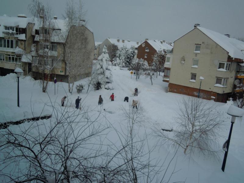 Vrijedni građani čiste naselja od snijega