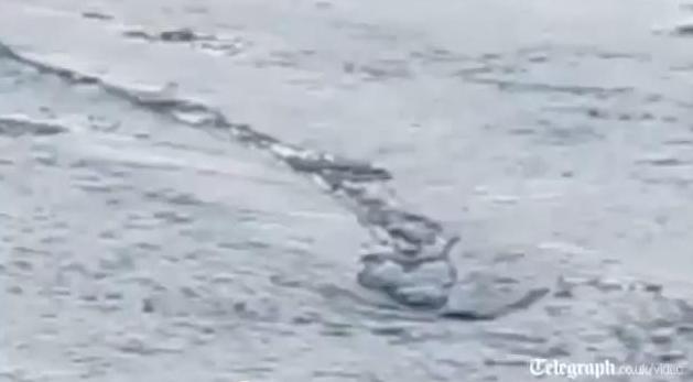 Čudovi&scaron;te iz rijeke Jokulsa