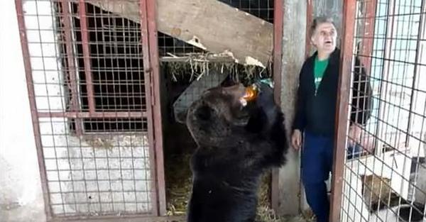 Emin Ljutić spava u kontejneru jer je medvjedima dao kuću