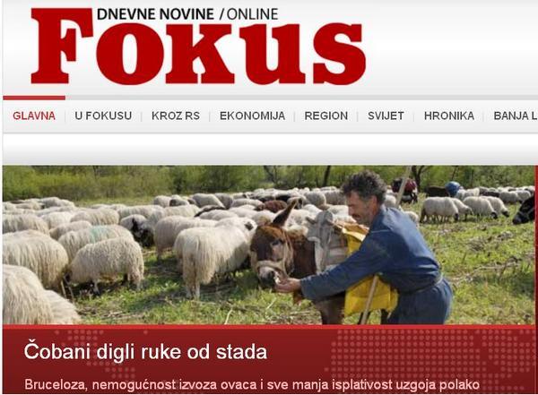 Novina Fokus Novina Fokus