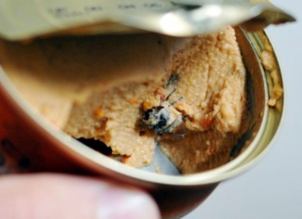 argeta muha argeta muha