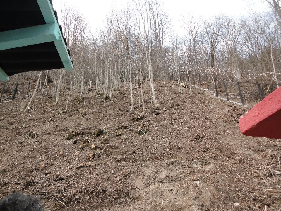 Prihvatili&scaron;te za napu&scaron;tene i izgubljene životinje Kantona Sarajevo